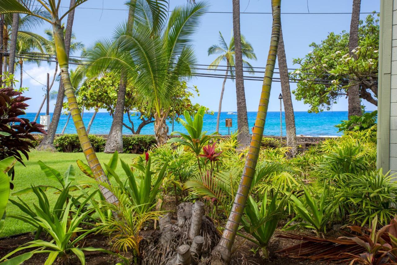 Spring Rates Book Now - Islander Condos Kailua Kültér fotó